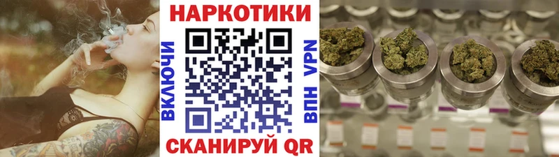  COCAIN Данилов
