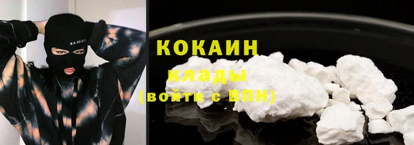 СК Аркадак