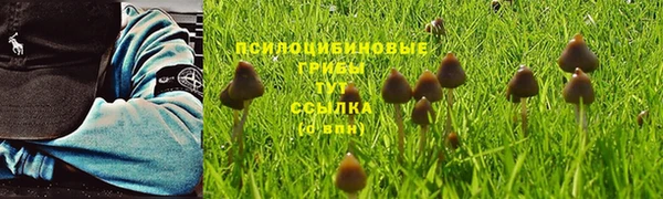 соль курить ск Арсеньев