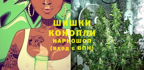ГАЛЛЮЦИНОГЕННЫЕ ГРИБЫ Балабаново