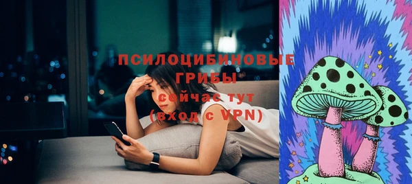 СК Аркадак
