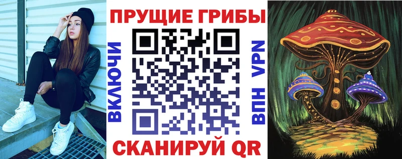 Псилоцибиновые грибы мухоморы  цены наркотик  Данилов 
